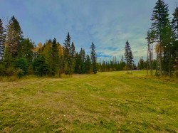 157 Meadow Ponds Drive  Rural Clearwater County, AB T4T 1A7