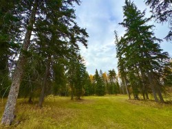 201 High Timber Place  Rural Clearwater County, AB T4T 1A7