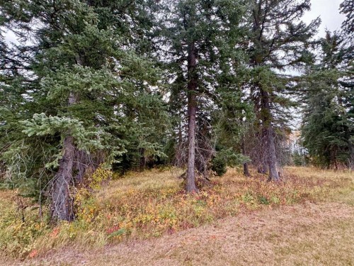 201 High Timber Place, Rural Clearwater County, AB 
