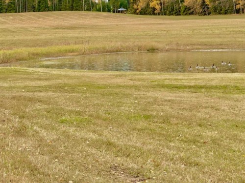 409 Valley View Close, Rural Clearwater County, AB 