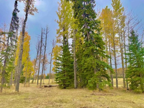 409 Valley View Close, Rural Clearwater County, AB 