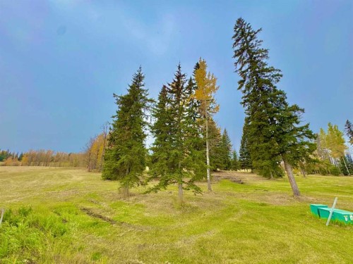 417 Valley View Close, Rural Clearwater County, AB 