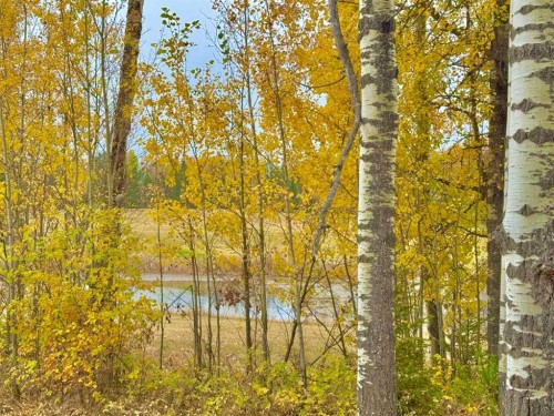 417 Valley View Close, Rural Clearwater County, AB 