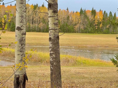 417 Valley View Close, Rural Clearwater County, AB 