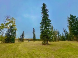 316 Valley View Drive  Rural Clearwater County, AB T4T 1A7