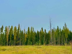 400 Valley View Close  Rural Clearwater County, AB T4T 1A7