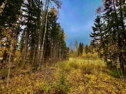 301 Valley View Drive  Rural Clearwater County, AB T4T 1A7
