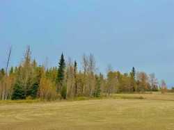 416 Valley View Close  Rural Clearwater County, AB T4T 1A7