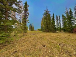 401 Valley View Close  Rural Clearwater County, AB T4T 1A7