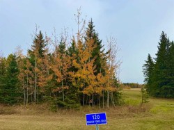 120 Meadow Ponds Drive  Rural Clearwater County, AB T4T 1A7