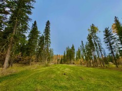 156 Meadow Ponds Drive  Rural Clearwater County, AB T4T 1A7