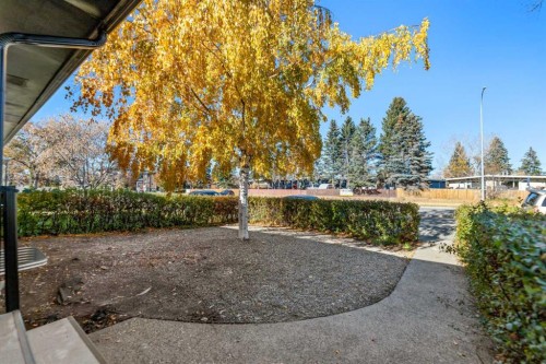 4229 Richmond Road Sw, Calgary, AB - Outdoor