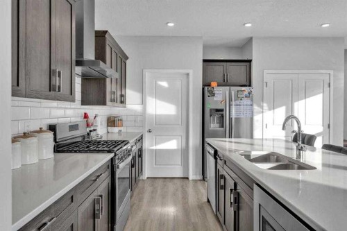 130 Red Sky Crescent Ne, Calgary, AB - Indoor Photo Showing Kitchen With Double Sink With Upgraded Kitchen