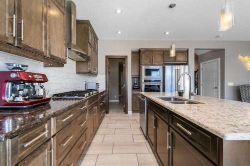 235 Redstone Heights Ne, Calgary, AB - Indoor Photo Showing Kitchen With Stainless Steel Kitchen With Double Sink With Upgraded Kitchen
