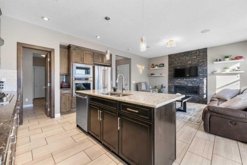 235 Redstone Heights Ne, Calgary, AB - Indoor Photo Showing Kitchen With Fireplace With Double Sink With Upgraded Kitchen