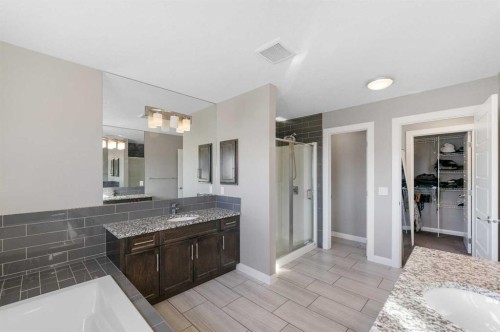 235 Redstone Heights Ne, Calgary, AB - Indoor Photo Showing Bathroom