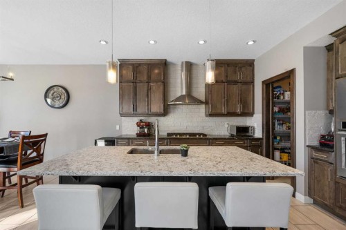 235 Redstone Heights Ne, Calgary, AB - Indoor Photo Showing Kitchen With Double Sink With Upgraded Kitchen