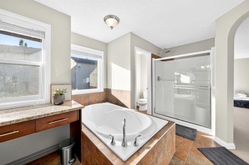 21 Panamount Street Nw, Calgary, AB - Indoor Photo Showing Bathroom