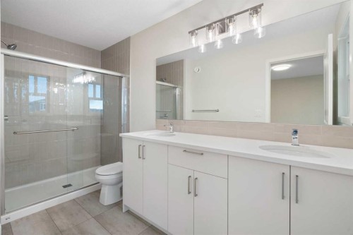 680 Buffaloberry Manor Se, Calgary, AB - Indoor Photo Showing Bathroom