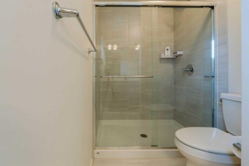 117 Midtown Close Sw, Airdrie, AB - Indoor Photo Showing Bathroom