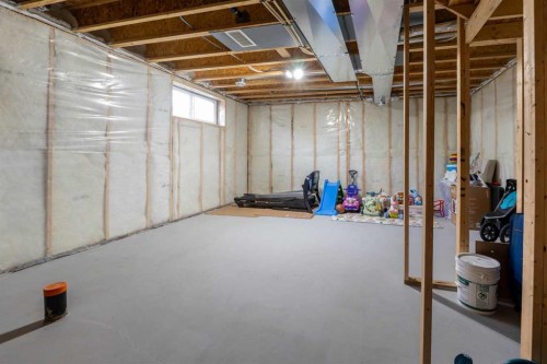 117 Midtown Close Sw, Airdrie, AB - Indoor Photo Showing Basement