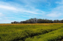 RGE RD 292  Rural Rocky View County, AB T0M 0S0