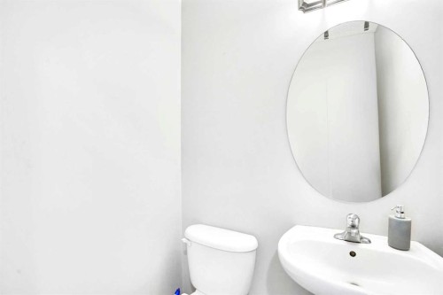 39 Saddleridge Close Ne, Calgary, AB - Indoor Photo Showing Bathroom
