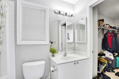 39 Saddleridge Close Ne, Calgary, AB - Indoor Photo Showing Bathroom