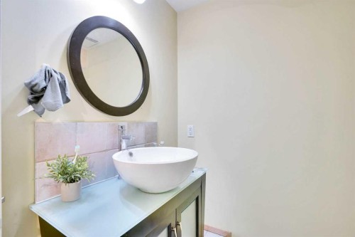 39 Saddleridge Close Ne, Calgary, AB - Indoor Photo Showing Bathroom