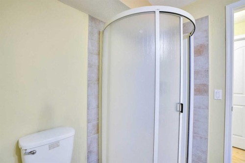 39 Saddleridge Close Ne, Calgary, AB - Indoor Photo Showing Bathroom