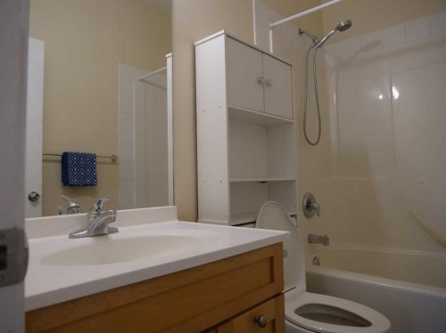 742 Carriage Lane Drive, Carstairs, AB - Indoor Photo Showing Bathroom