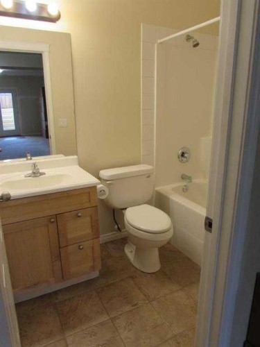 742 Carriage Lane Drive, Carstairs, AB - Indoor Photo Showing Bathroom