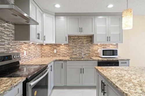 67 Fallswater Crescent Ne, Calgary, AB - Indoor Photo Showing Kitchen With Upgraded Kitchen