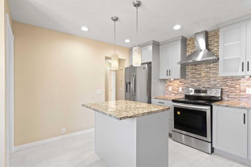 67 Fallswater Crescent Ne, Calgary, AB - Indoor Photo Showing Kitchen With Upgraded Kitchen