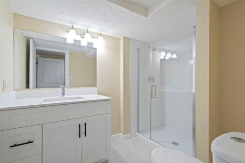67 Fallswater Crescent Ne, Calgary, AB - Indoor Photo Showing Bathroom