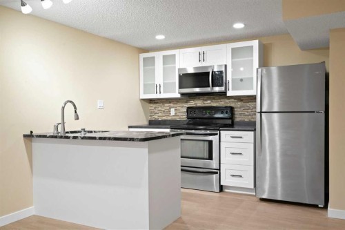 67 Fallswater Crescent Ne, Calgary, AB - Indoor Photo Showing Kitchen With Upgraded Kitchen
