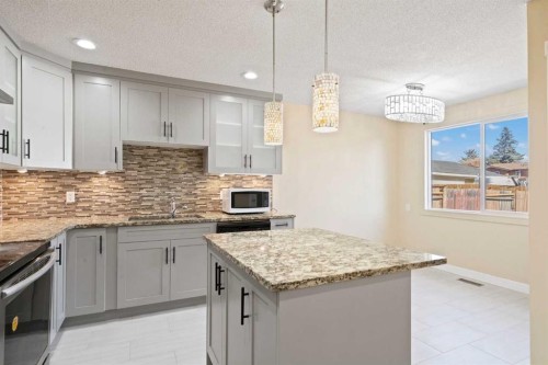 67 Fallswater Crescent Ne, Calgary, AB - Indoor Photo Showing Kitchen With Upgraded Kitchen