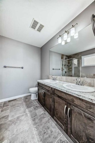 392 Auburn Crest Way Se, Calgary, AB - Indoor Photo Showing Bathroom