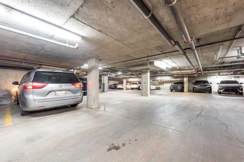 203-5 Saddlestone Way Ne, Calgary, AB - Indoor Photo Showing Garage