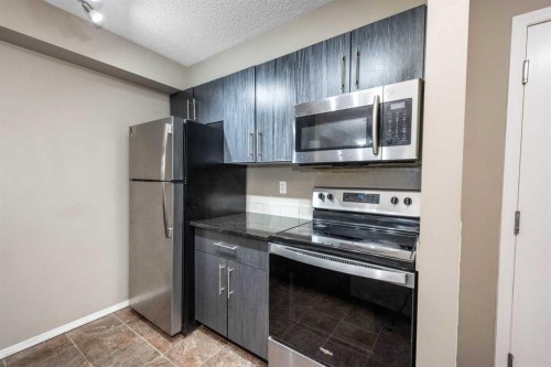 203-5 Saddlestone Way Ne, Calgary, AB - Indoor Photo Showing Kitchen