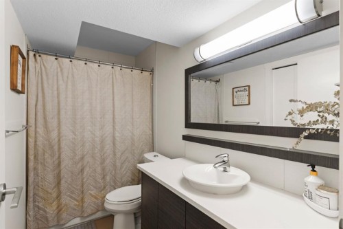 101-1818 14A Street Sw, Calgary, AB - Indoor Photo Showing Bathroom