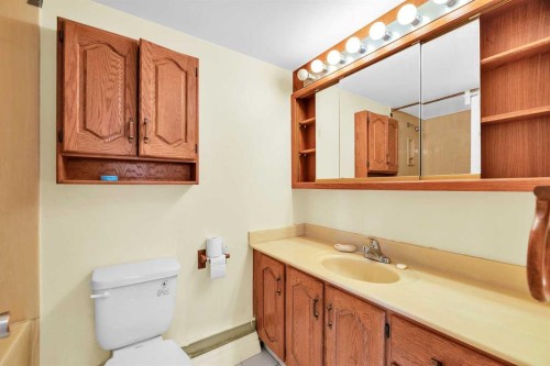 301-508 Cedar Crescent Sw, Calgary, AB - Indoor Photo Showing Bathroom