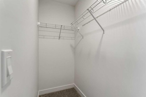 217 Seton Grove Se, Calgary, AB - Indoor With Storage