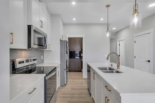 592 Savanna Crescent Ne, Calgary, AB - Indoor Photo Showing Kitchen With Double Sink With Upgraded Kitchen