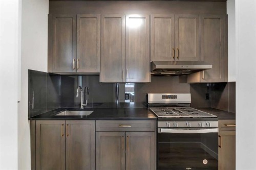 592 Savanna Crescent Ne, Calgary, AB - Indoor Photo Showing Kitchen