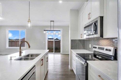 592 Savanna Crescent Ne, Calgary, AB - Indoor Photo Showing Kitchen With Double Sink With Upgraded Kitchen