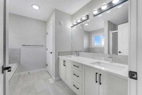 592 Savanna Crescent Ne, Calgary, AB - Indoor Photo Showing Bathroom