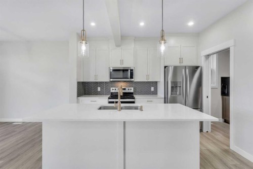 592 Savanna Crescent Ne, Calgary, AB - Indoor Photo Showing Kitchen With Upgraded Kitchen