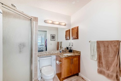 207-1005B Westmount Drive, Strathmore, AB - Indoor Photo Showing Bathroom