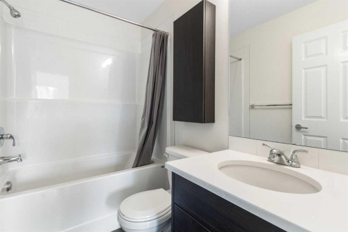 1106-298 Sage Meadows Park Nw, Calgary, AB - Indoor Photo Showing Bathroom